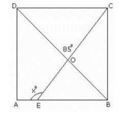 Maths class 8 Quadrilaterals and practice geometry 