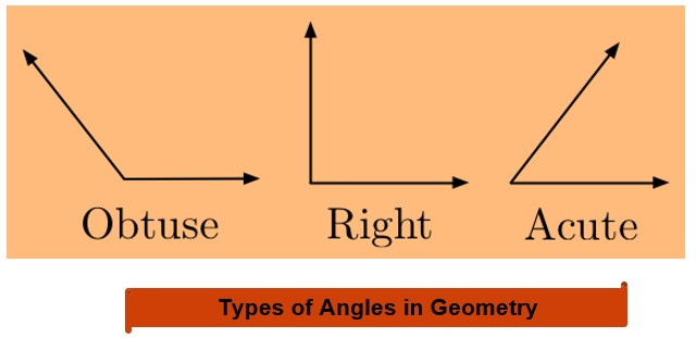 Maths class 6 Basic Geometrical Ideas 