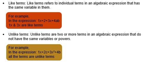 Maths class 8 Algebraic expression and identities 