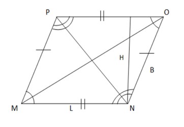 Maths class 8 Quadrilaterals and practice geometry 