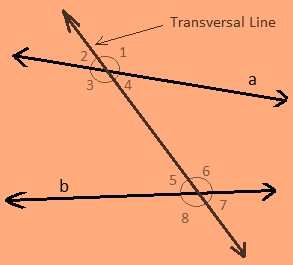 Maths class 9 Lines and Angles 