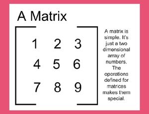Definition of matrix