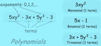 Definition of monomial