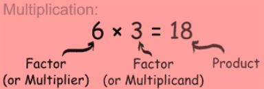 Definition of multiplier